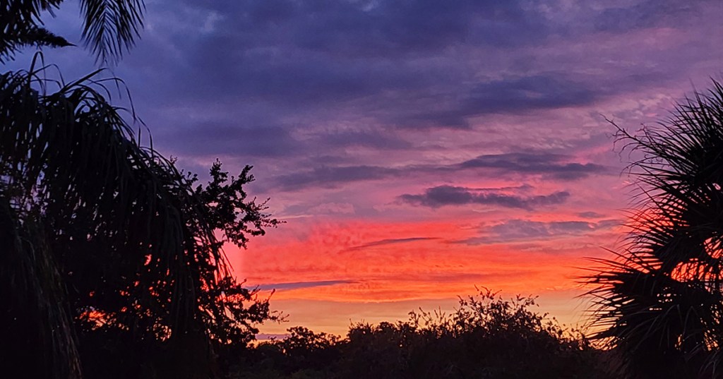 The Power of One –&nbsp;Not