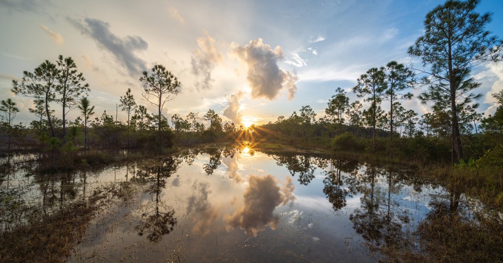 Let Them Do What They&nbsp;Do