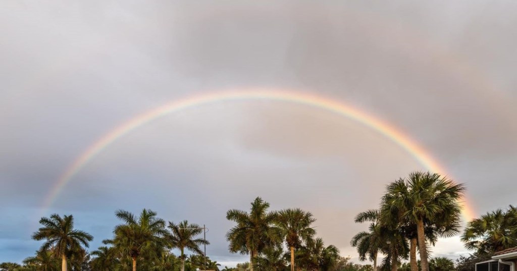 The Reason for&nbsp;Doing