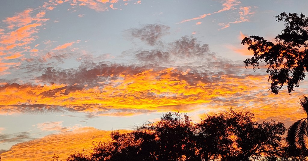 Shopping for a&nbsp;Cause