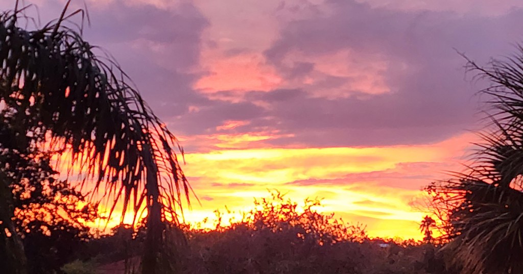 A Week of&nbsp;Thanks