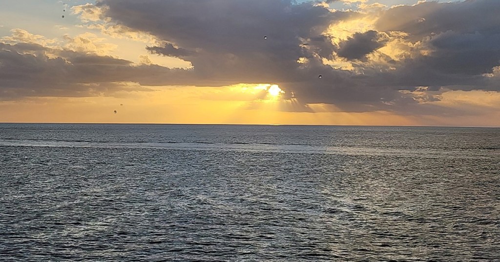 Happiness in a&nbsp;Tune