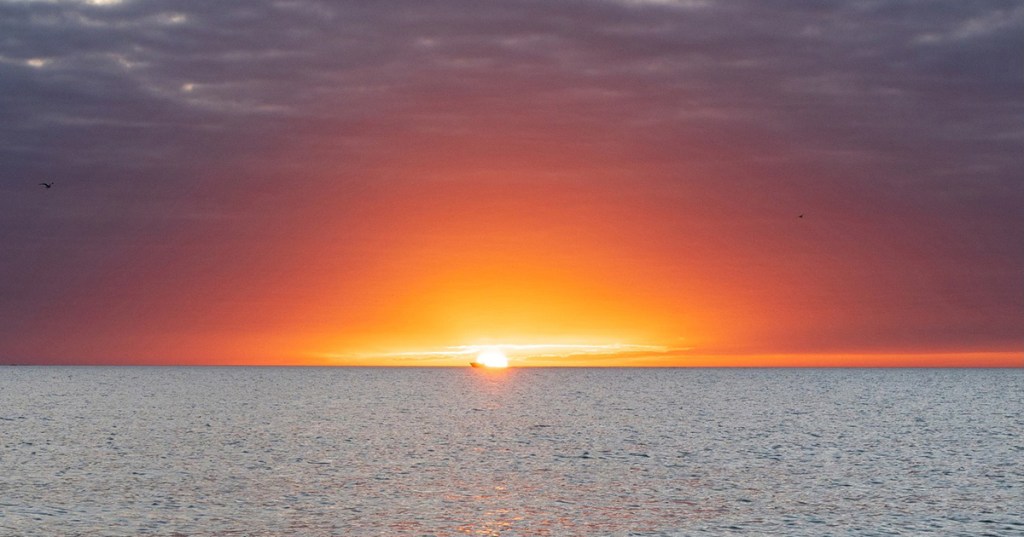 For the Lord to&nbsp;Come