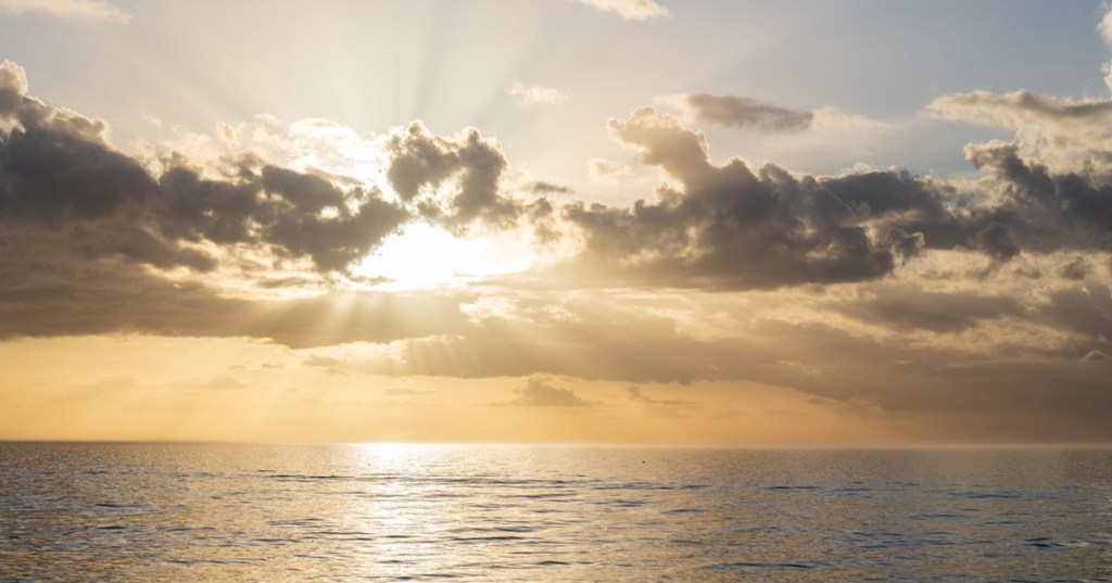 Walking in the&nbsp;Past