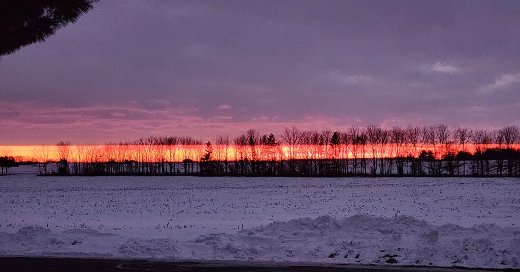 Celebrate the Special