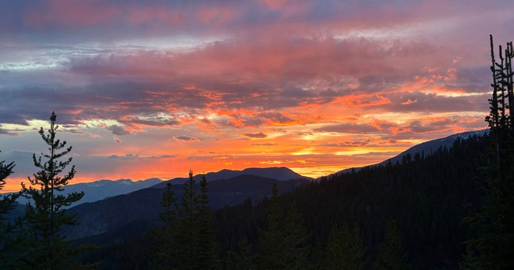 The Original Painter