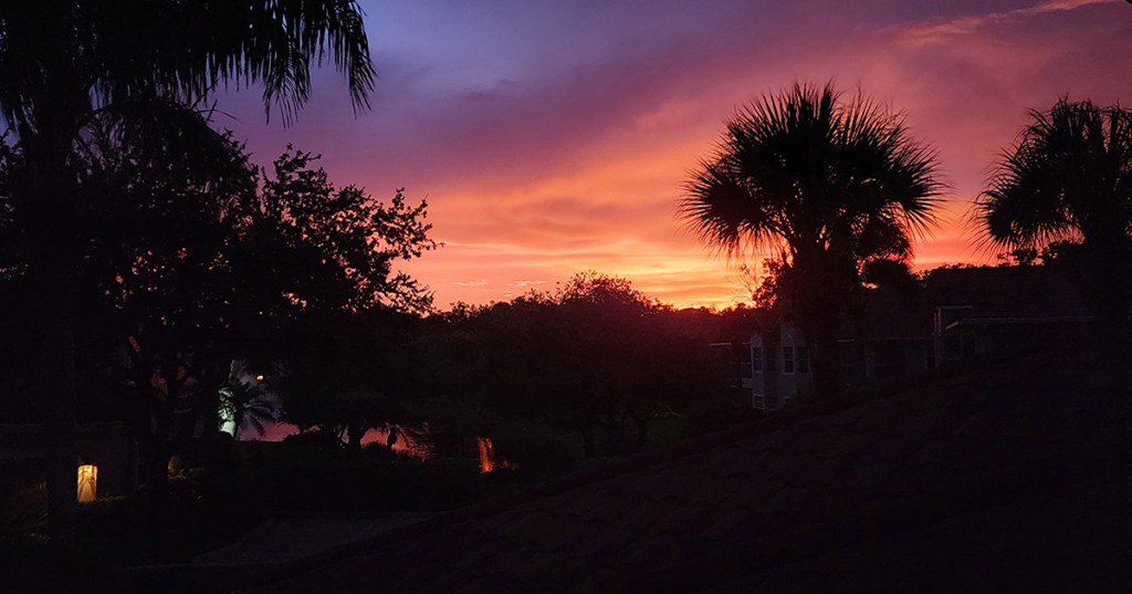 The Busy & The Littles