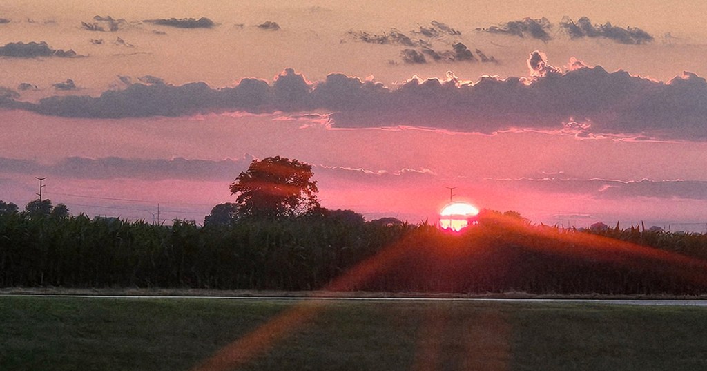 A Birthday Connection