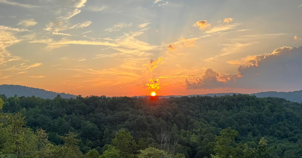 Thy Will Be&nbsp;Done