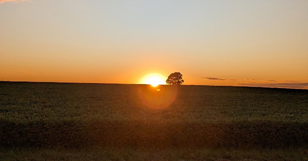 Don’t Underestimate