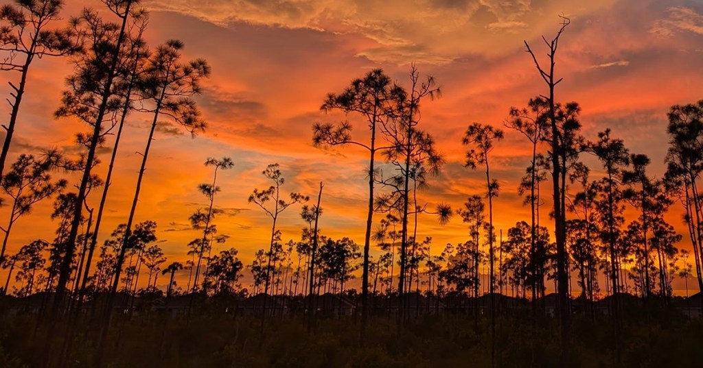 A Simple Sunday Prayer