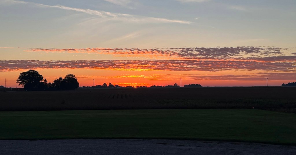 Promise of a New&nbsp;Day